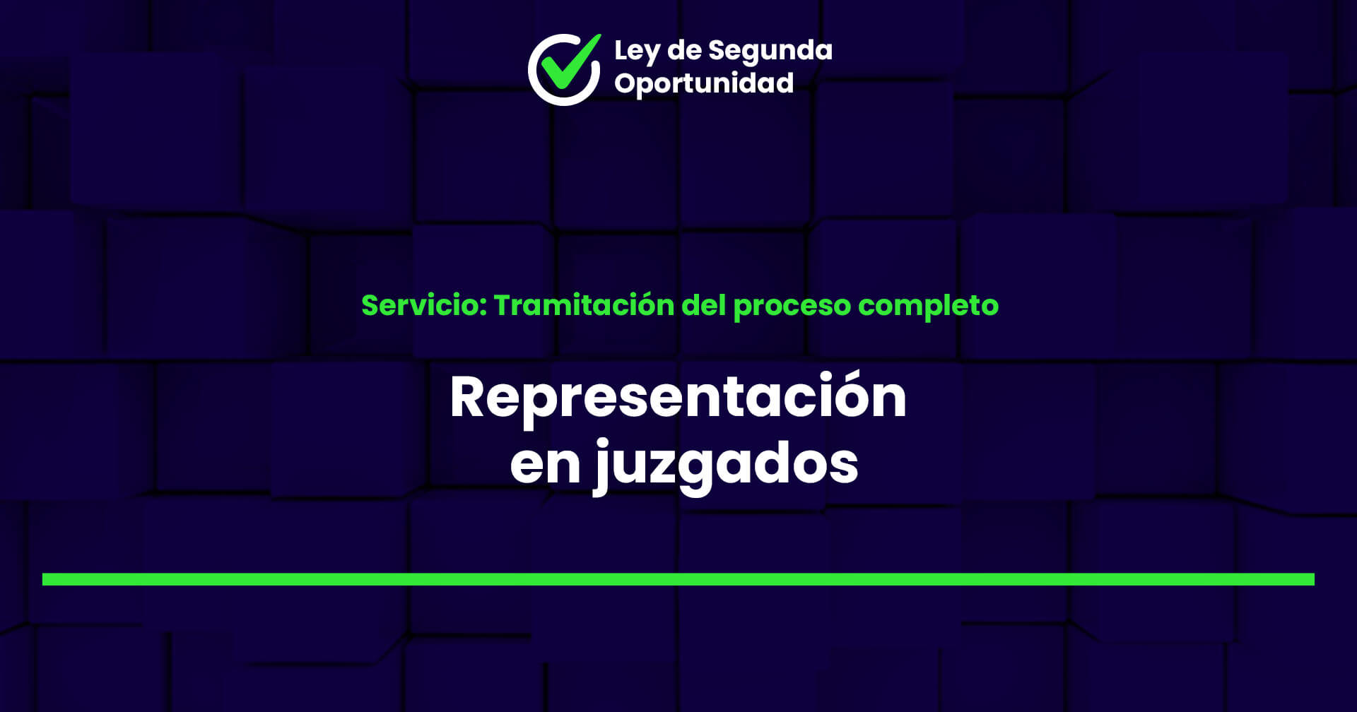 Representación en Juzgados 1 Tramitación del proceso completo de Ley de Segunda Oportunidad: Representación en juzgados